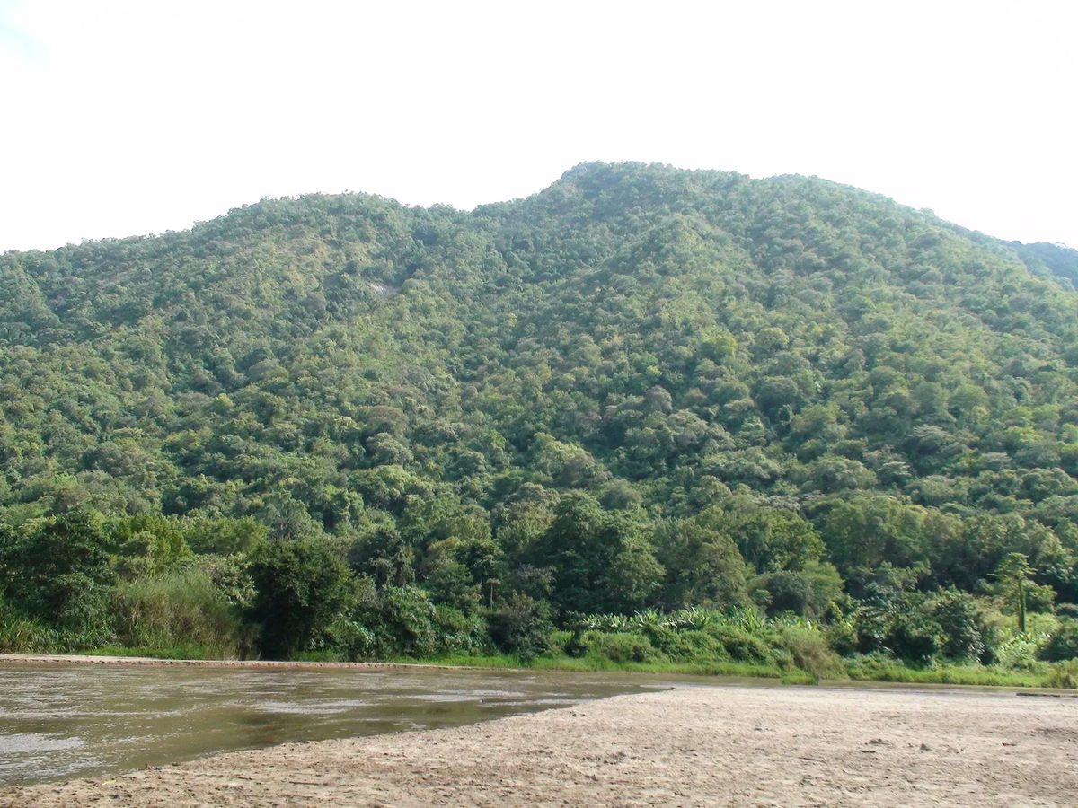 A sandy beach in Tanzania with a large mountain in the background, surrounded by a blue sky. The scene showcases elements of nature including trees, water, and a varied landscape with hills and wilderness.