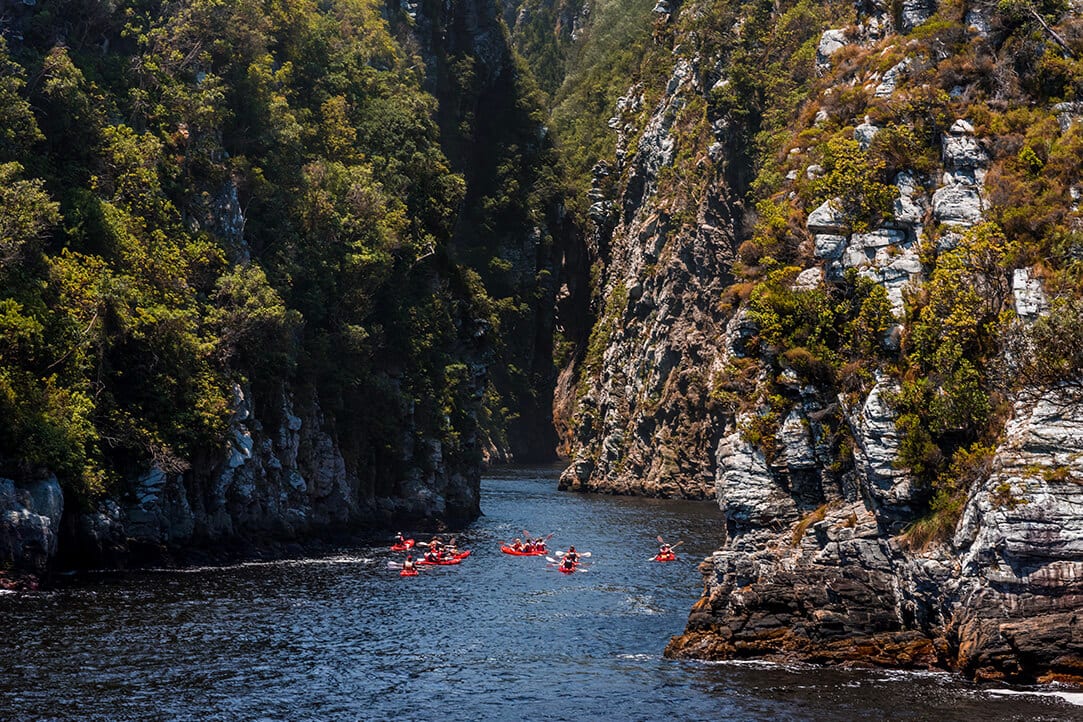 SA-bestplaces-gardenroute__0002_03