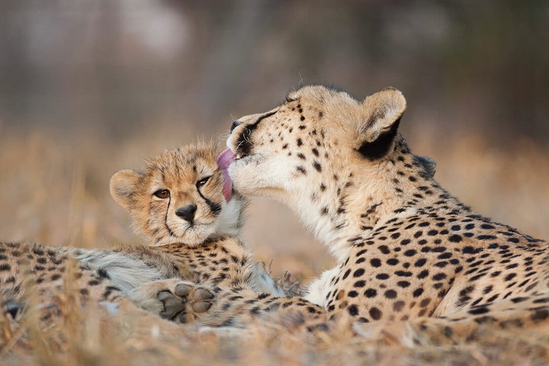 SA-bestplaces-kruger__0001_02