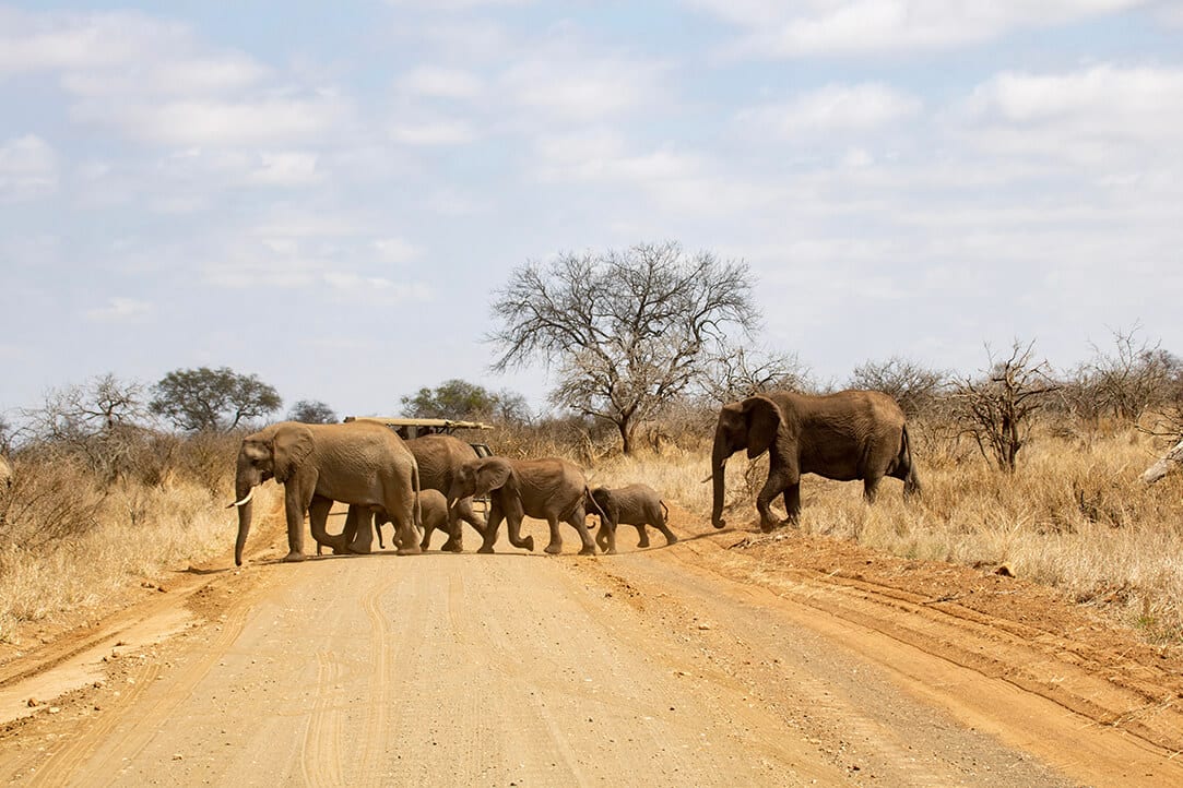 SA-bestplaces-kruger__0002_03