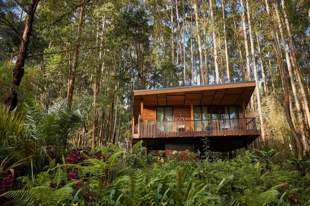 One&Only Gorilla's Nest exterior view