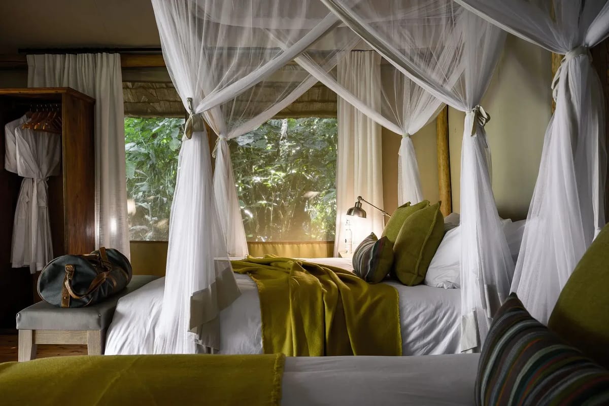 Sanctuary Gorilla Forest Camp interior bedroom view