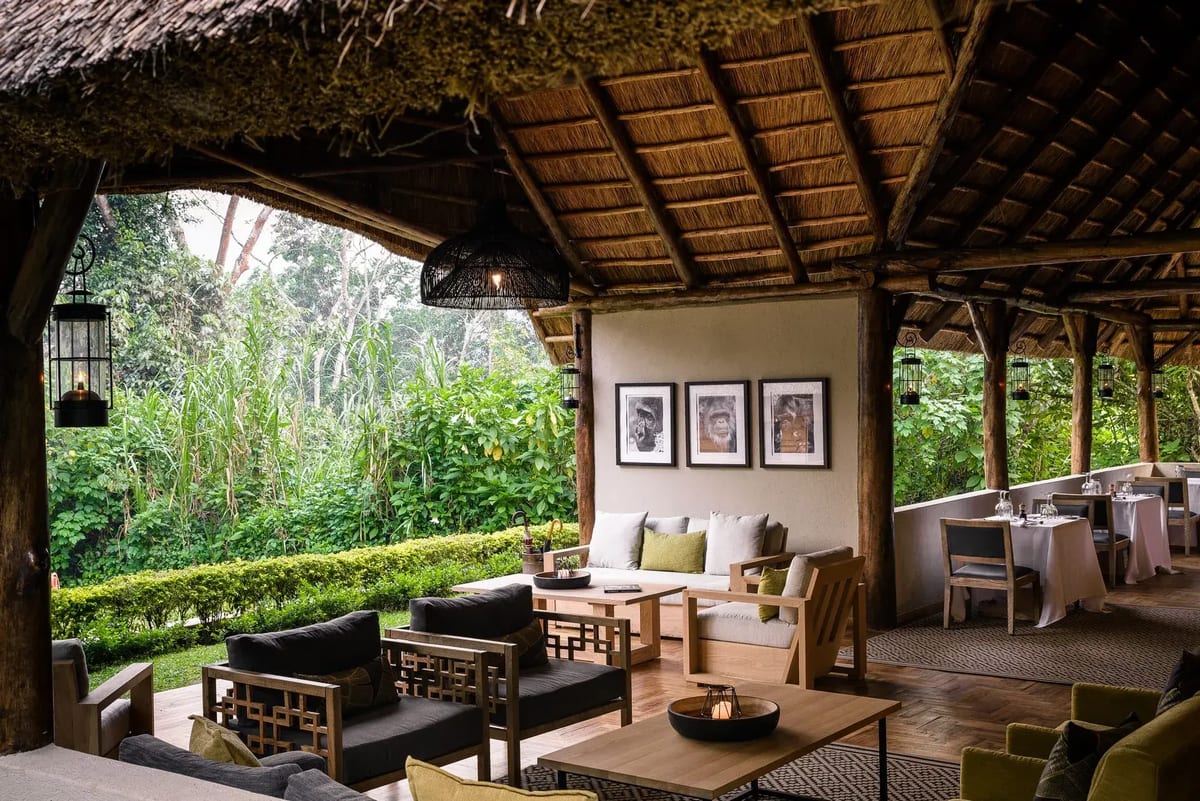 Sanctuary Gorilla Forest Camp interior view