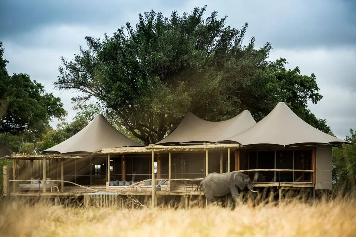 little mombo botswana suites luxury