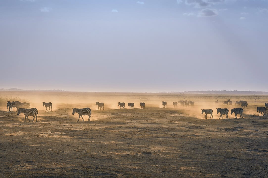 kenya-bestplaces-amboseli_0002_03