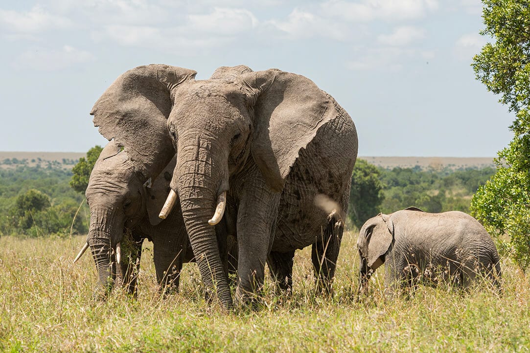 kenya-bestplaces-laikipia_0000_01