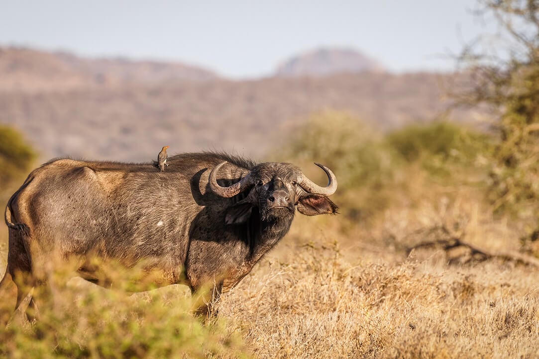 kenya-bestplaces-laikipia_0001_02