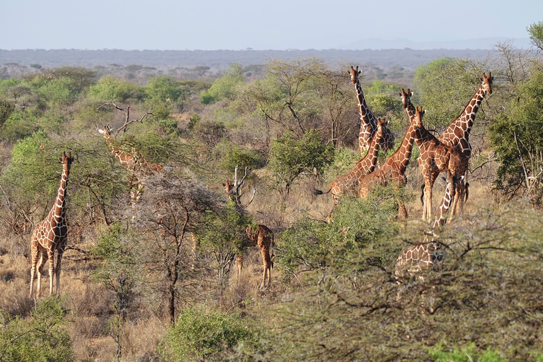 kenya-bestplaces-laikipia_0004_05
