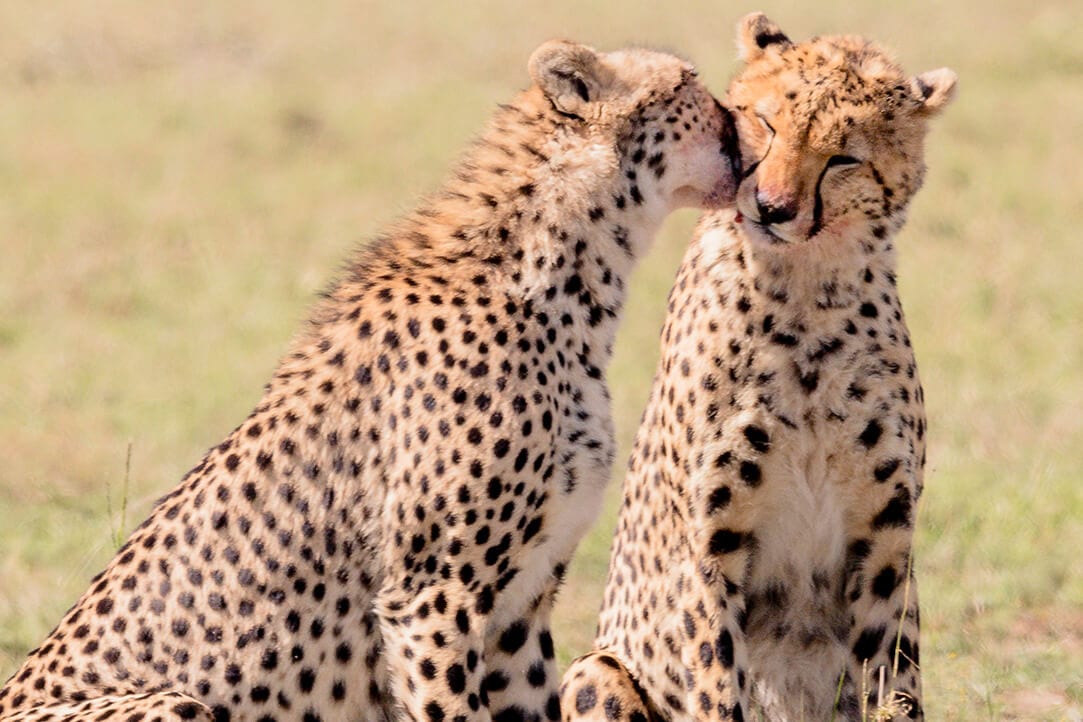 kenya-bestplaces-masai_0001_02