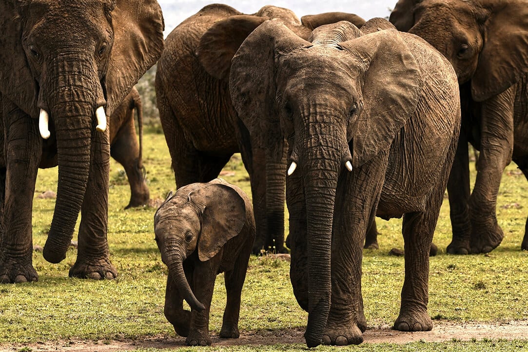 kenya-bestplaces-masai_0003_04