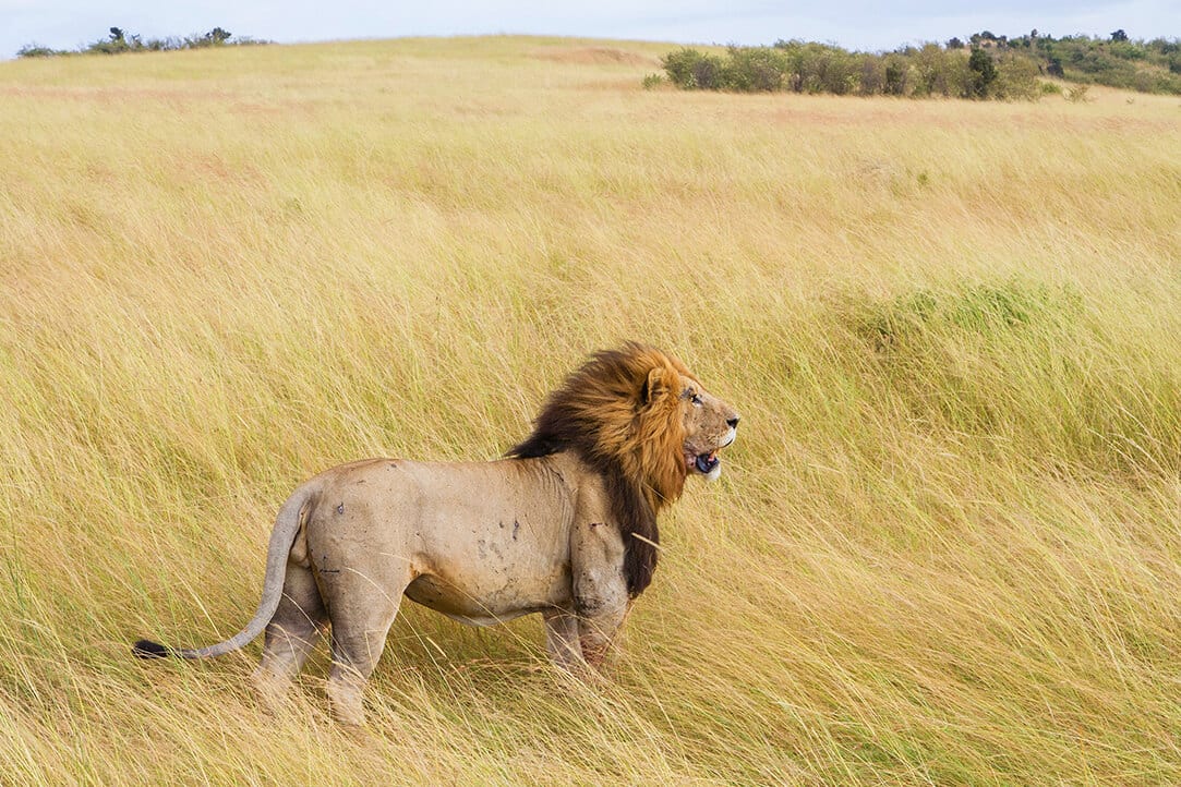 kenya-bestplaces-masai_0004_05