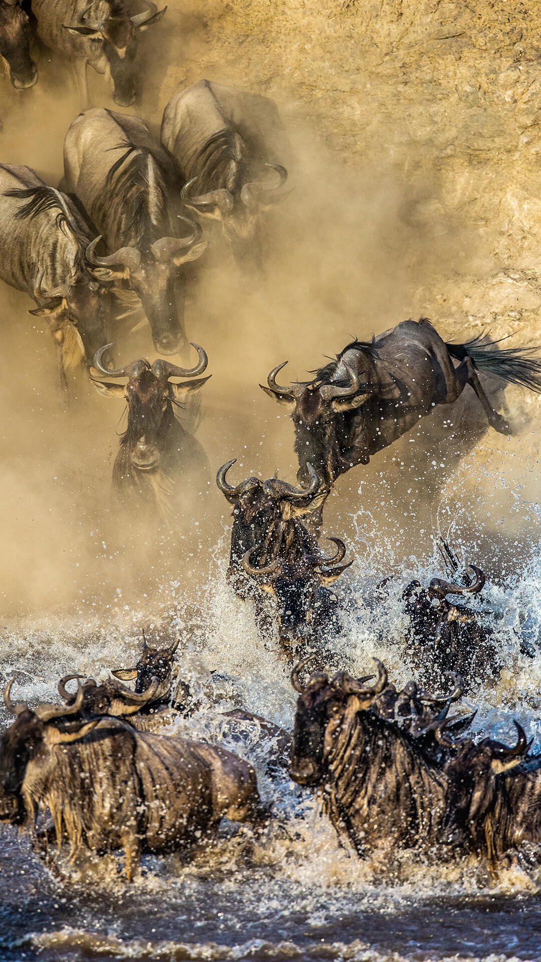 Great Migration wildebeest crossing Mara River