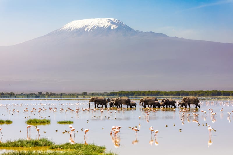kenya-header-img_0000_01