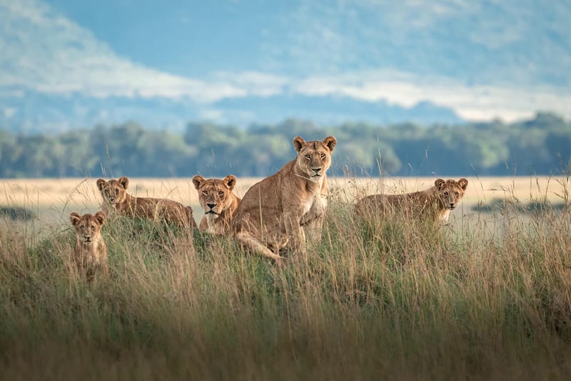kenya-header-img_0001_02