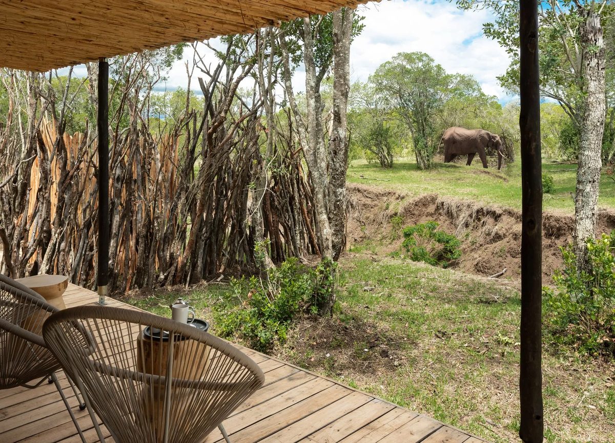 Kenya River camp immersive safari elephant