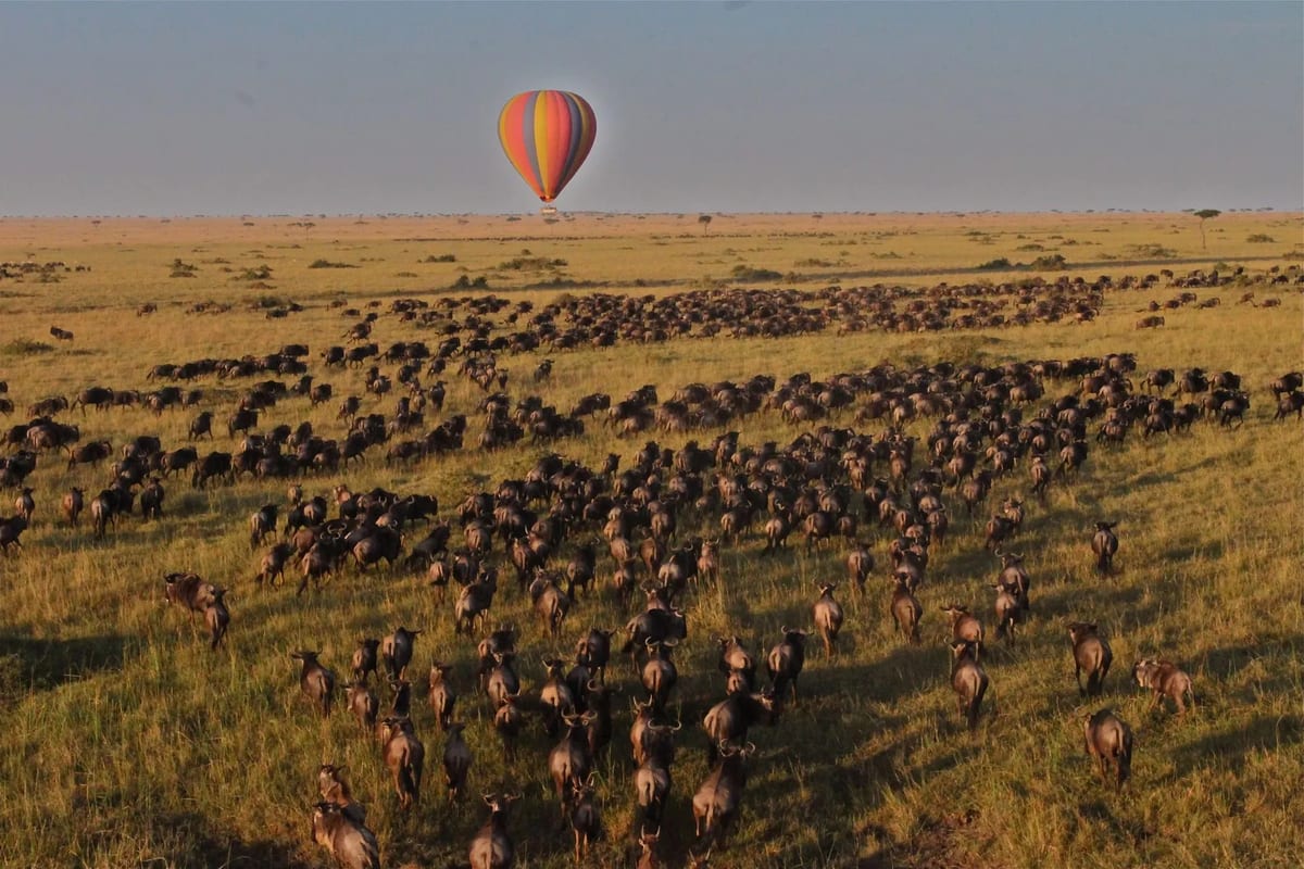 kenya saruni mara hot air balloon