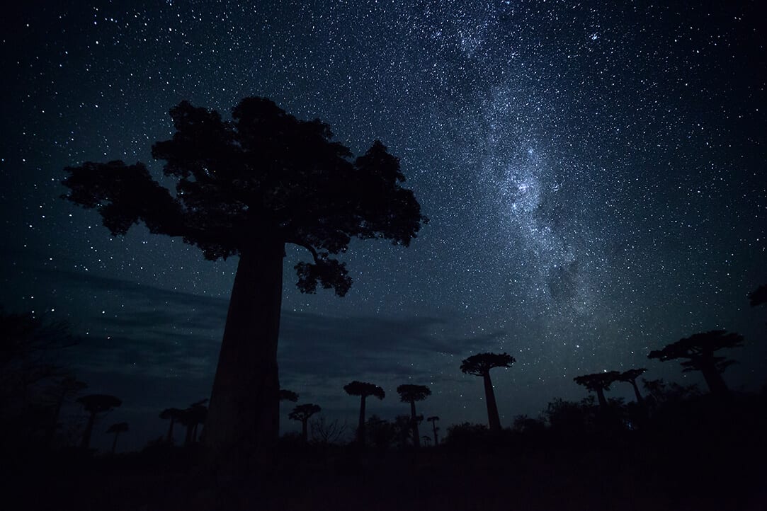 madagascar-bestplaces-baobabs_0004_05