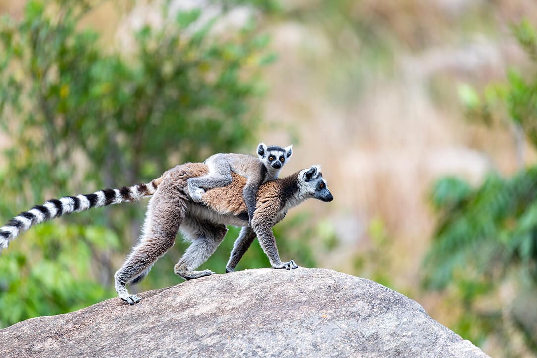 madagascar-bestplaces-highlands_0003_04