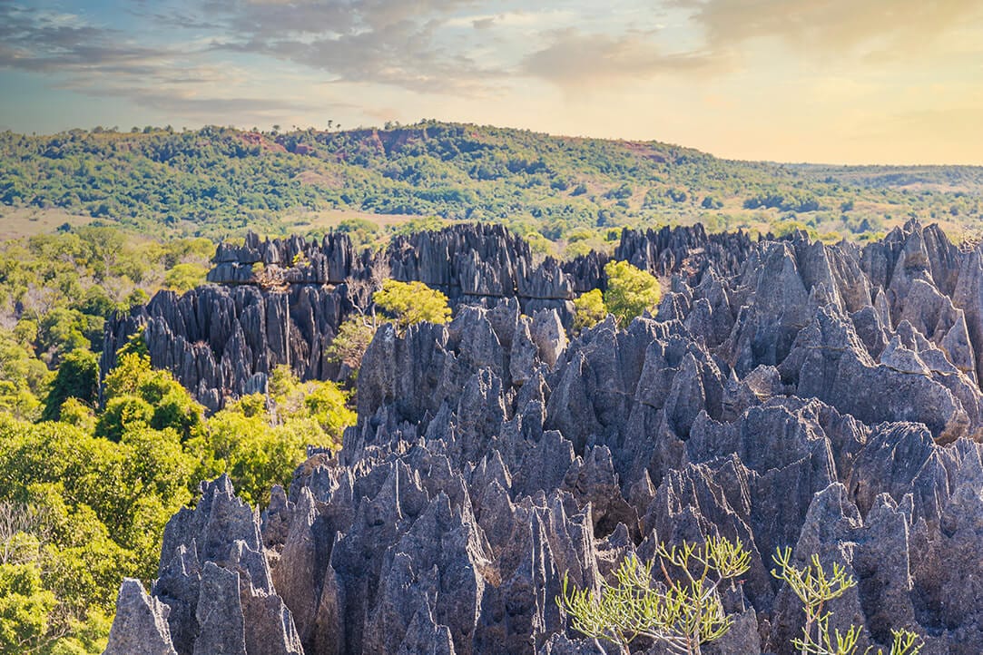 madagascar-bestplaces-tsingy_0002_03