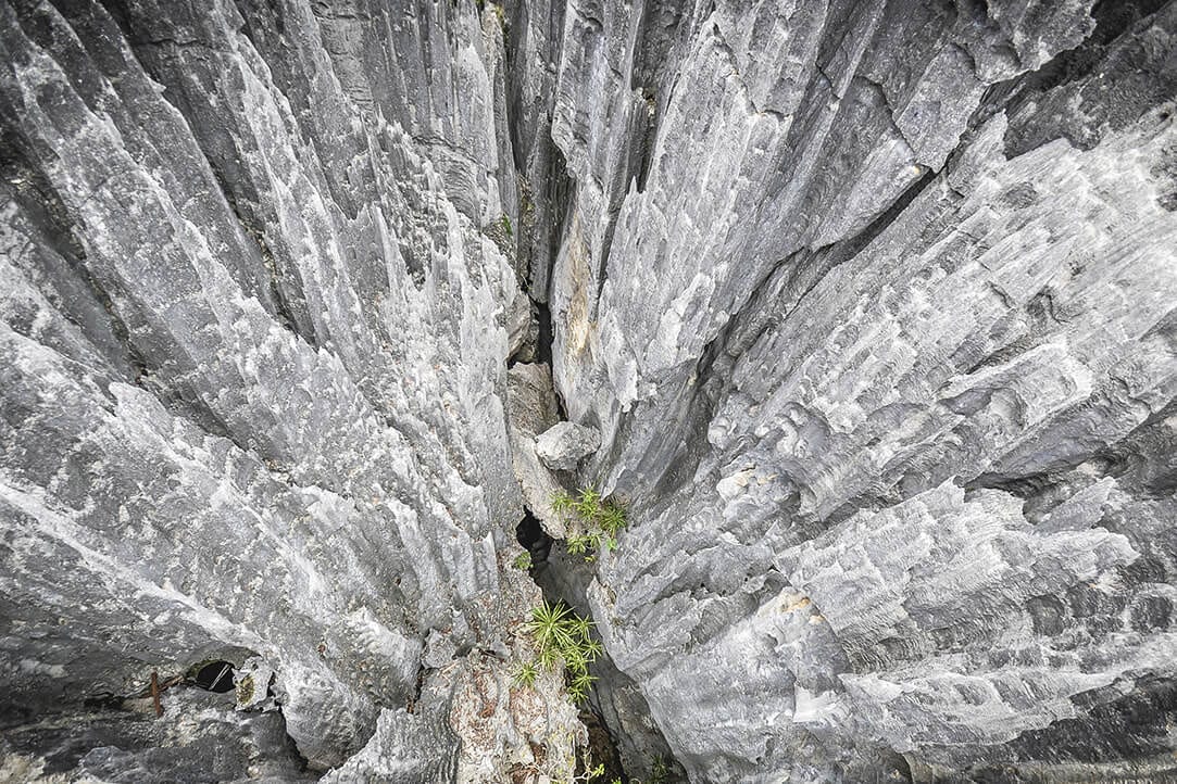 madagascar-bestplaces-tsingy_0003_04