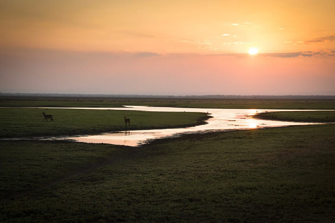 moz-bestplaces-gongorosa__0000_01
