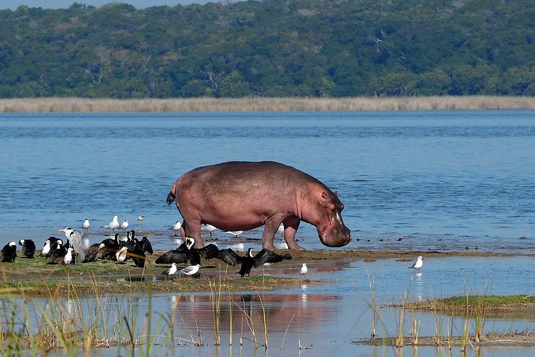 moz-bestplaces-maputo__0000_01