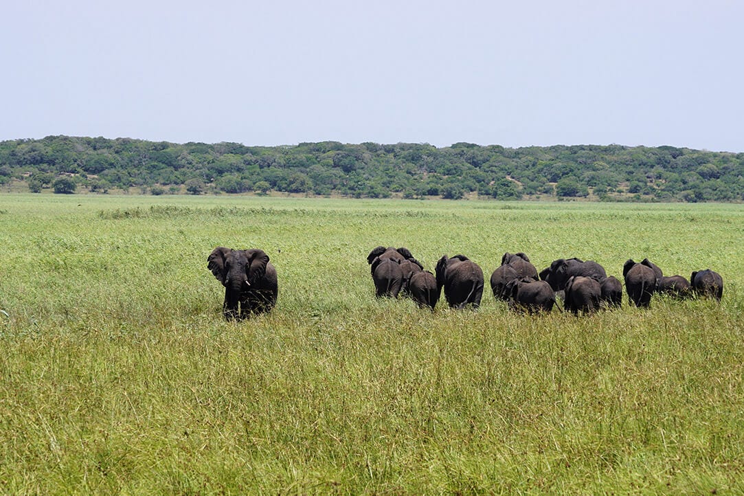 moz-bestplaces-maputo__0004_05