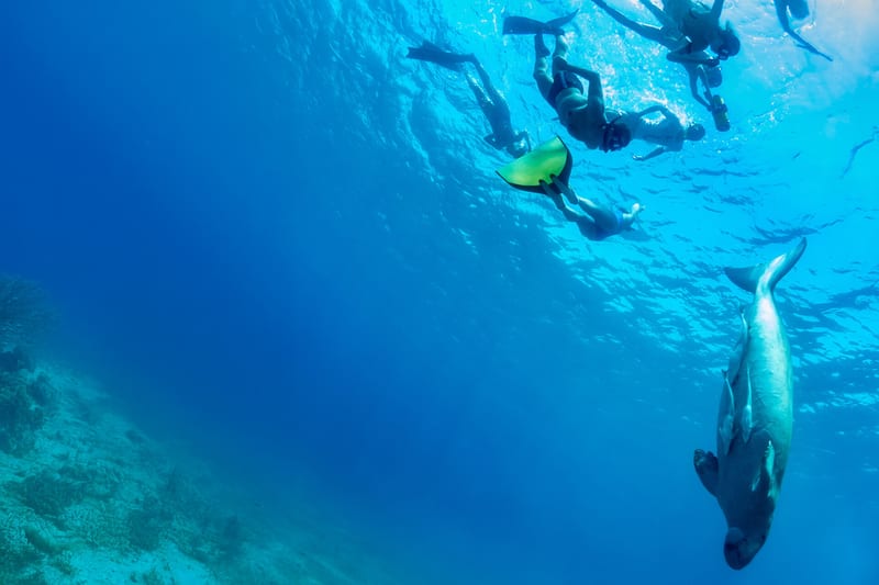 mozambique-header-img__0004_05