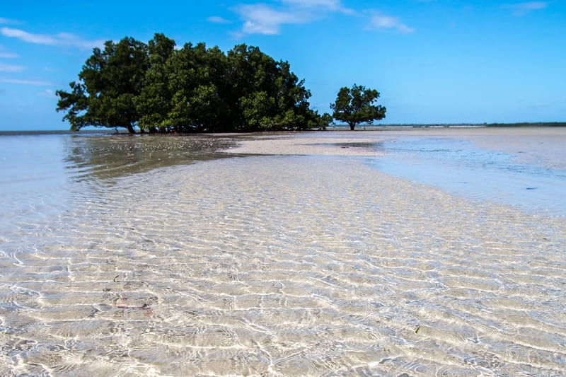mozambique-header-img__0007_08