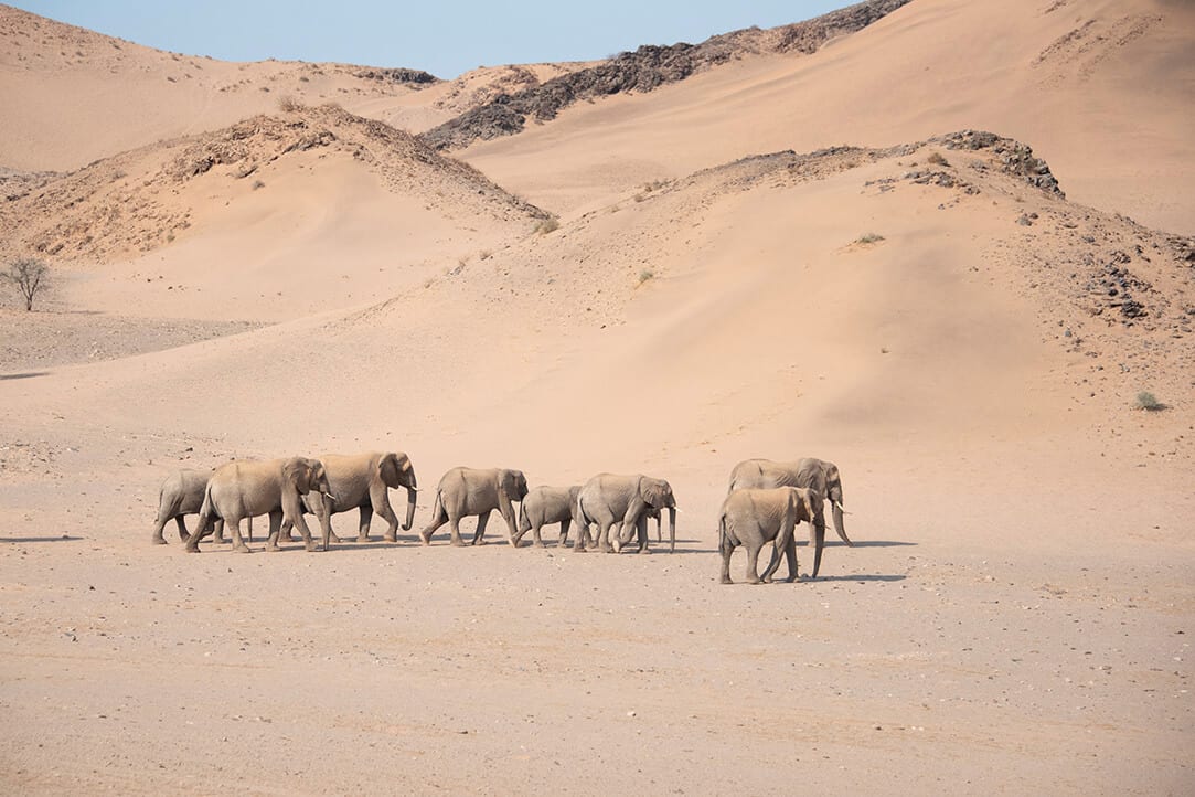 namibia-bestplaces-damaraland__0003_04