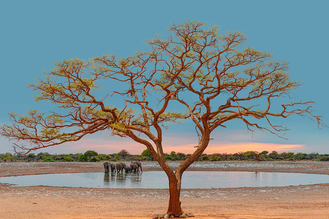 namibia-bestplaces-etosha__0002_03