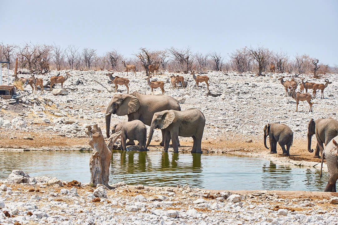 namibia-bestplaces-etosha__0003_04