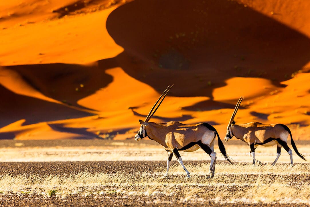 namibia-bestplaces-sossusvlei__0002_03