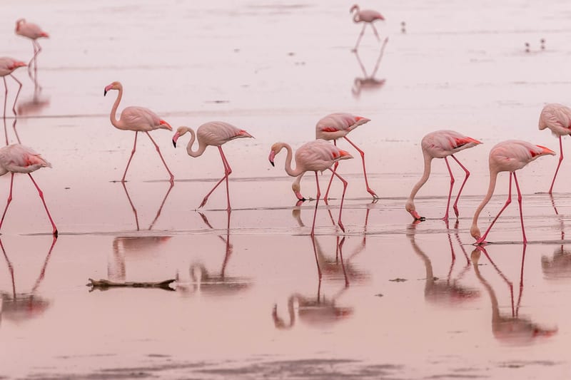 namibia-header-img__0002_03