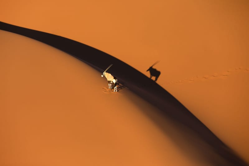 namibia-header-img__0004_05