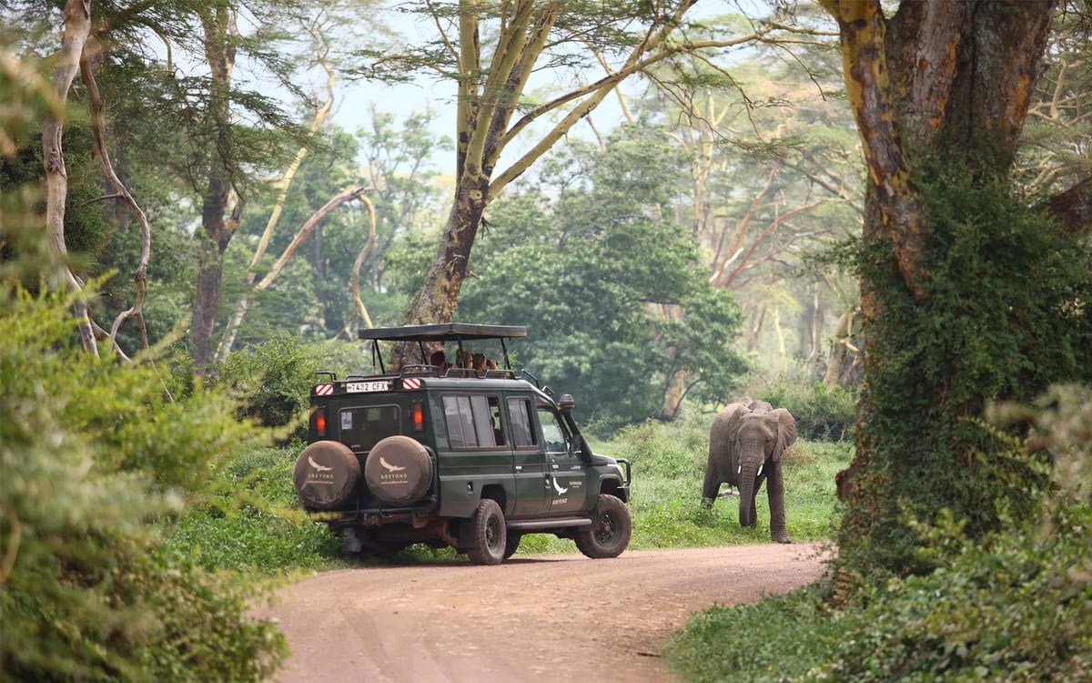 tanzania beyond crater lodge safari