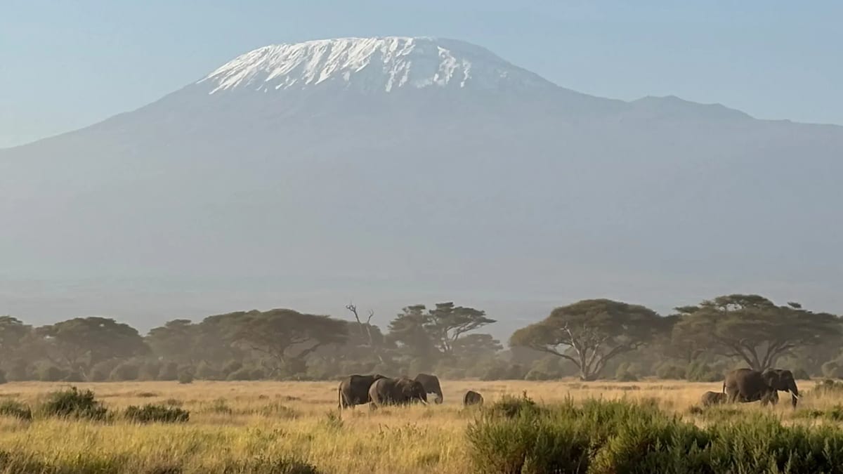 Amboseli Mount Kenya with elephants