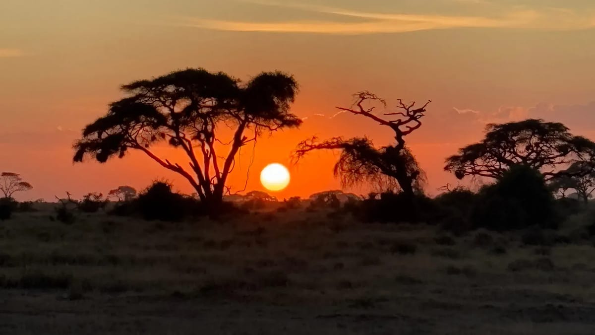 Amboseli sunset