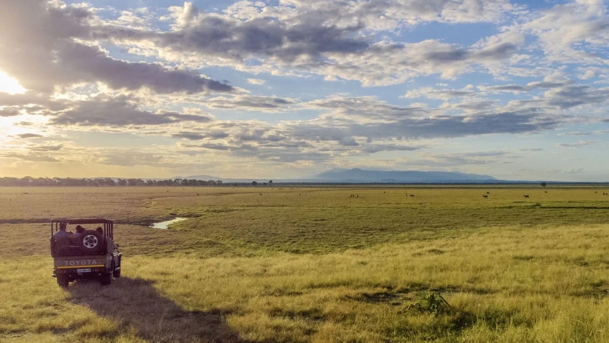 GORONGOSA SAFARIS Mozambique honeymoons
