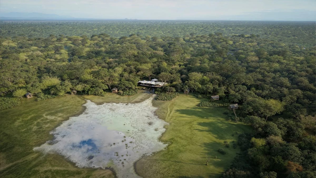 GORONGOSA SAFARIS safari honeymoon
