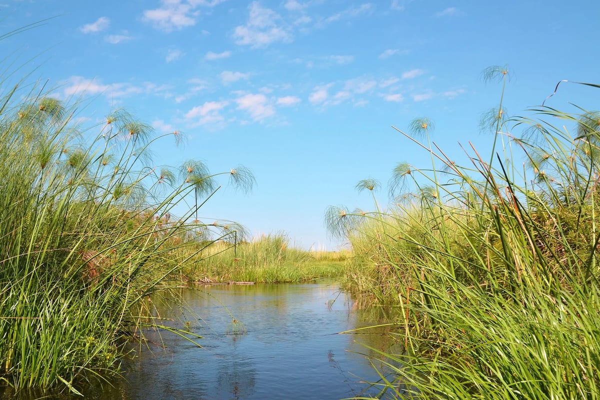 Hassle-free Africa Okavango blog 2