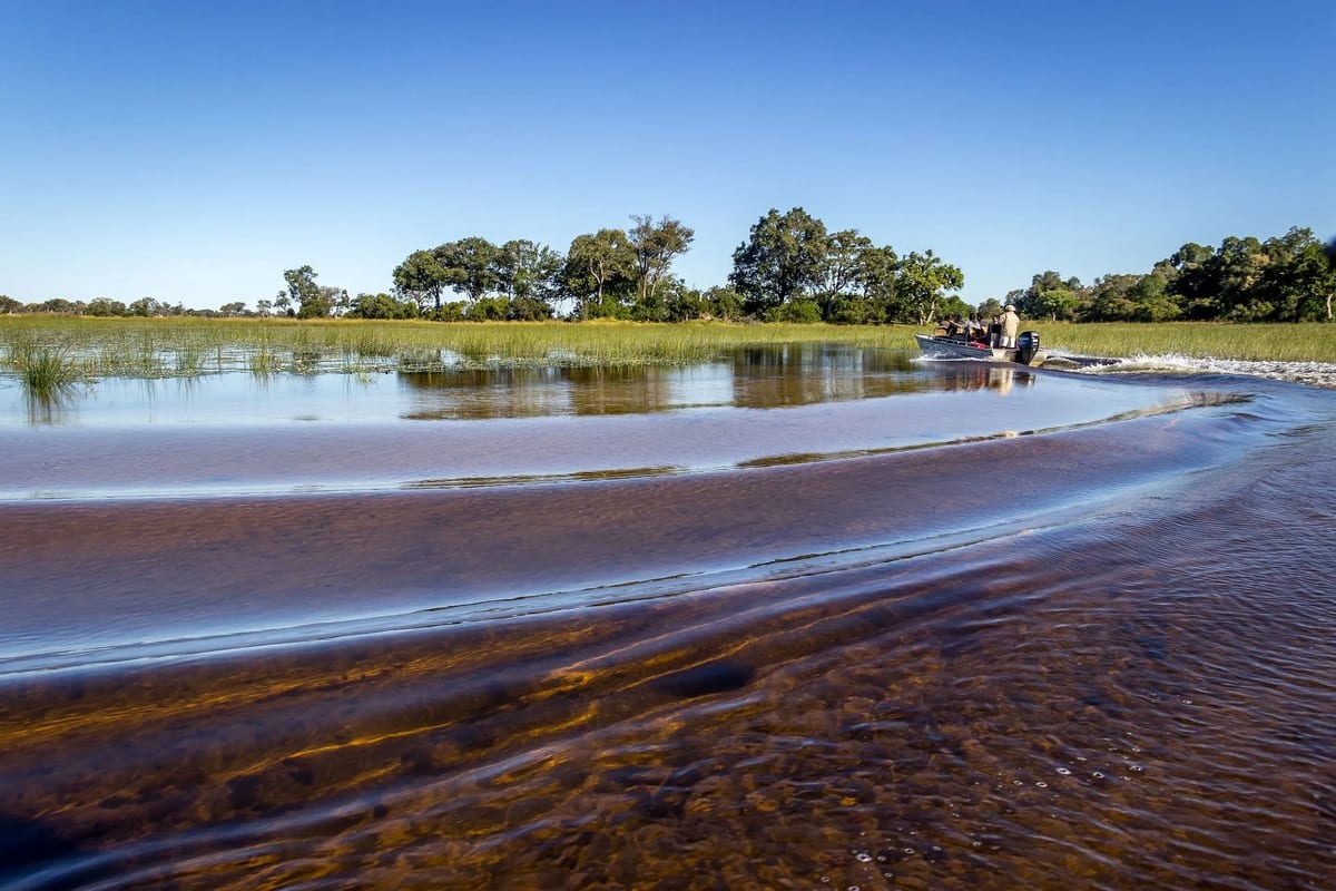 Hassle-free Africa Okavango blog 5