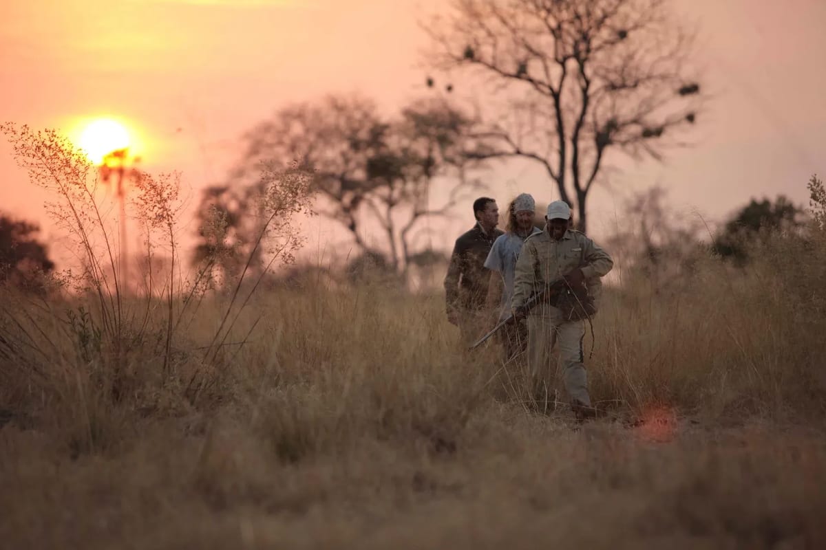 Sandibe walking safari best African safari tours for couples