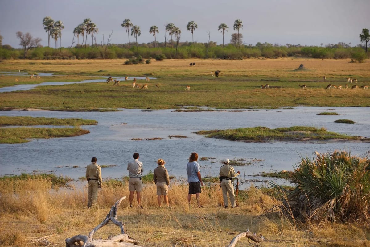 Sandibe walking safari view Botswana