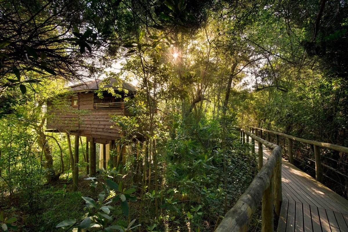 Tsala-Treetop-boardwalk-wedding-boutique-1920w
