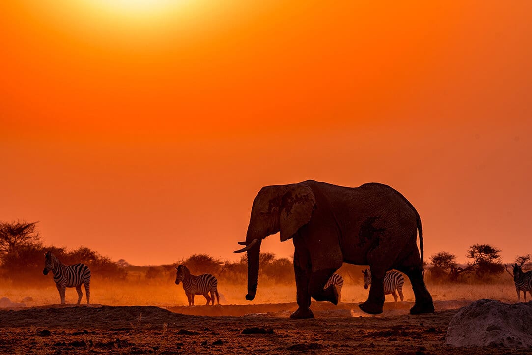 Zambia-bestplaces-kafue__0001_02