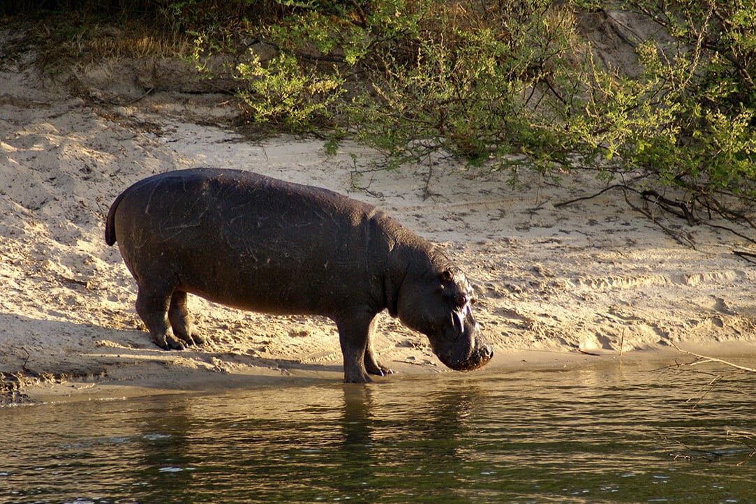 Zambia-bestplaces-liv&vicfalls__0002_03