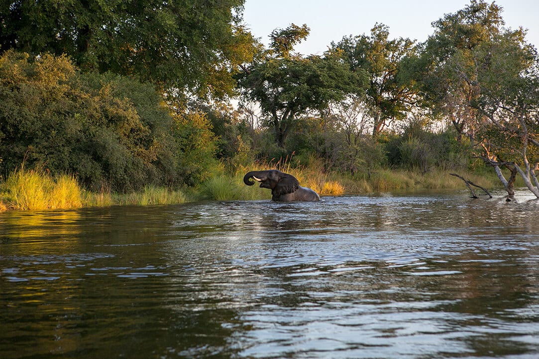 Zambia-bestplaces-liv&vicfalls__0004_05