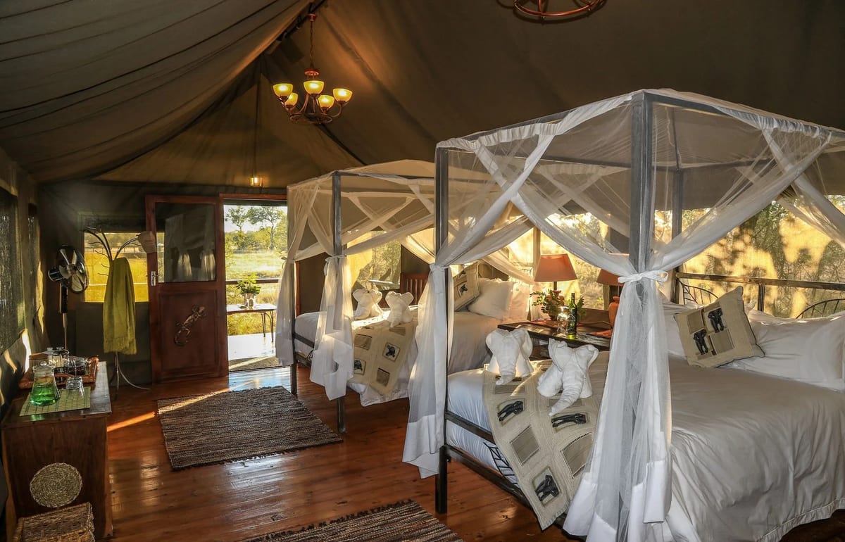Zimbabwe-Hwange-Bomani-unique-safari-glamping-africa-1920w