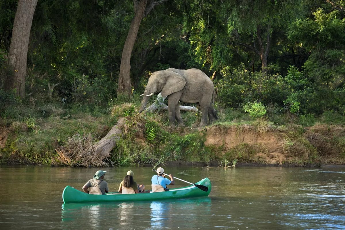 African Bush Camps river safari